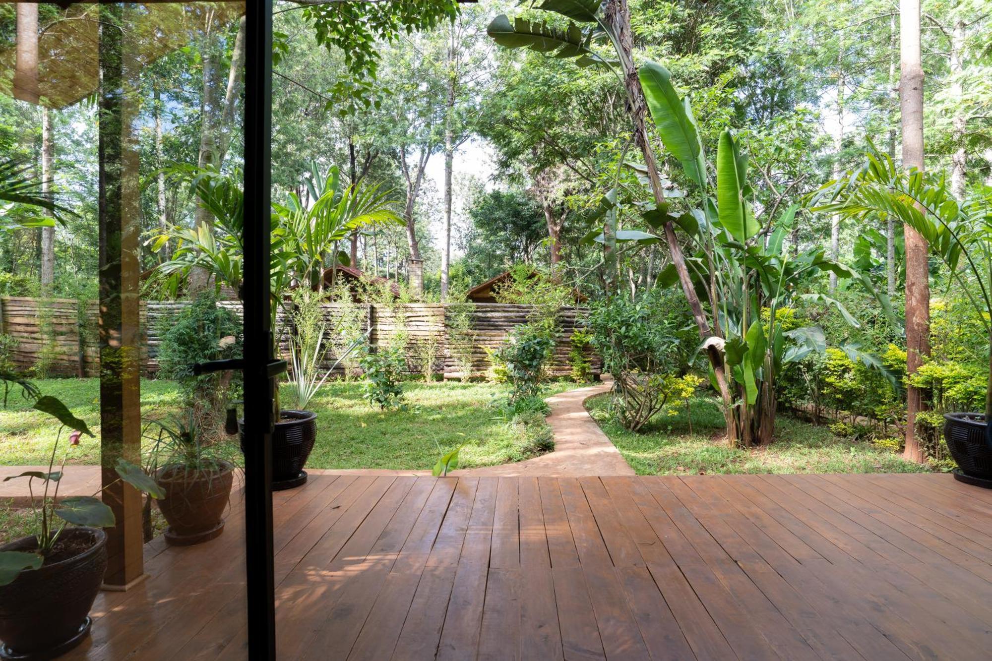 Apartament The Jungle Oasis With Heated Pool Nairobi Zewnętrze zdjęcie
