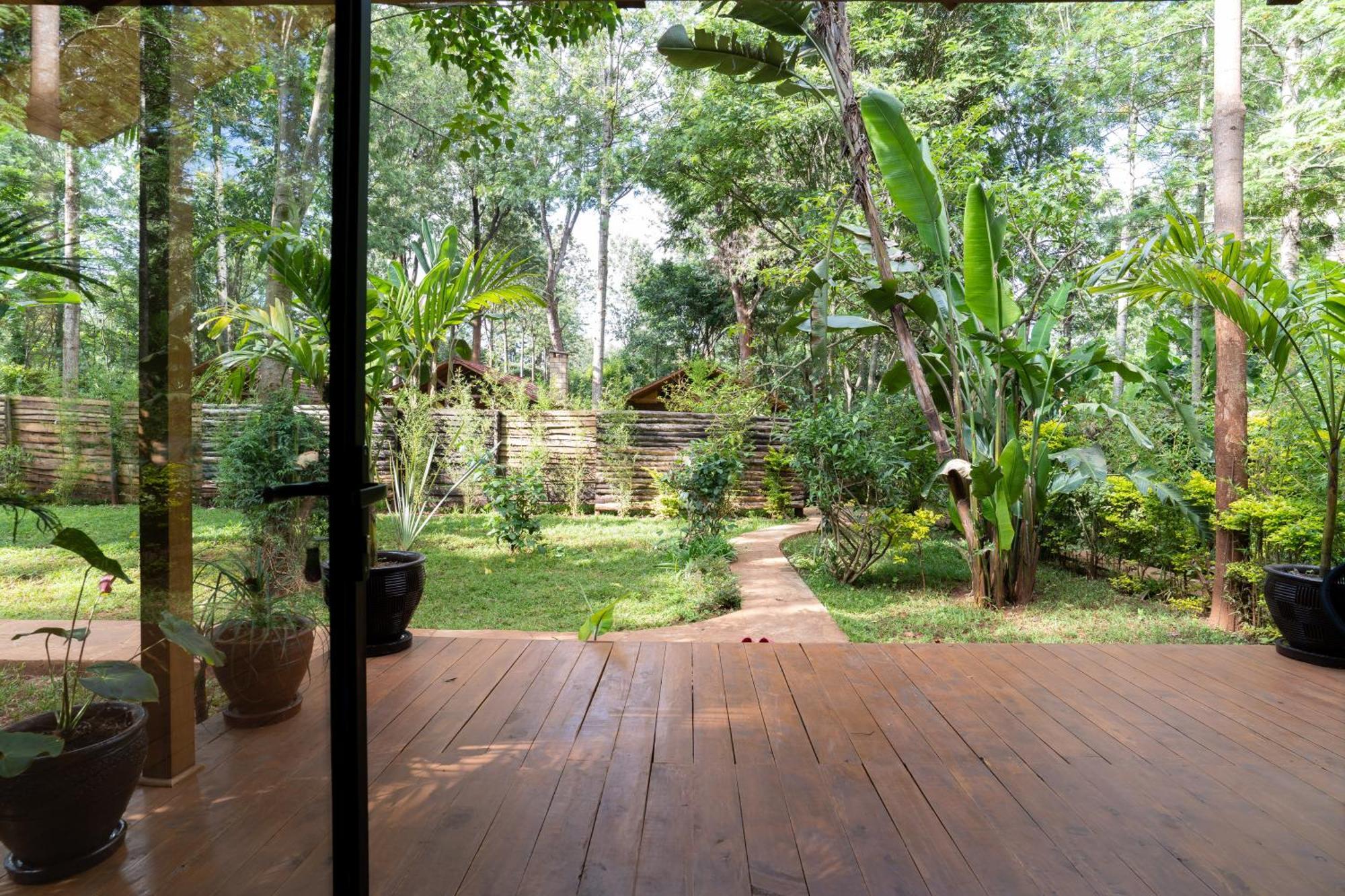 Apartament The Jungle Oasis With Heated Pool Nairobi Zewnętrze zdjęcie
